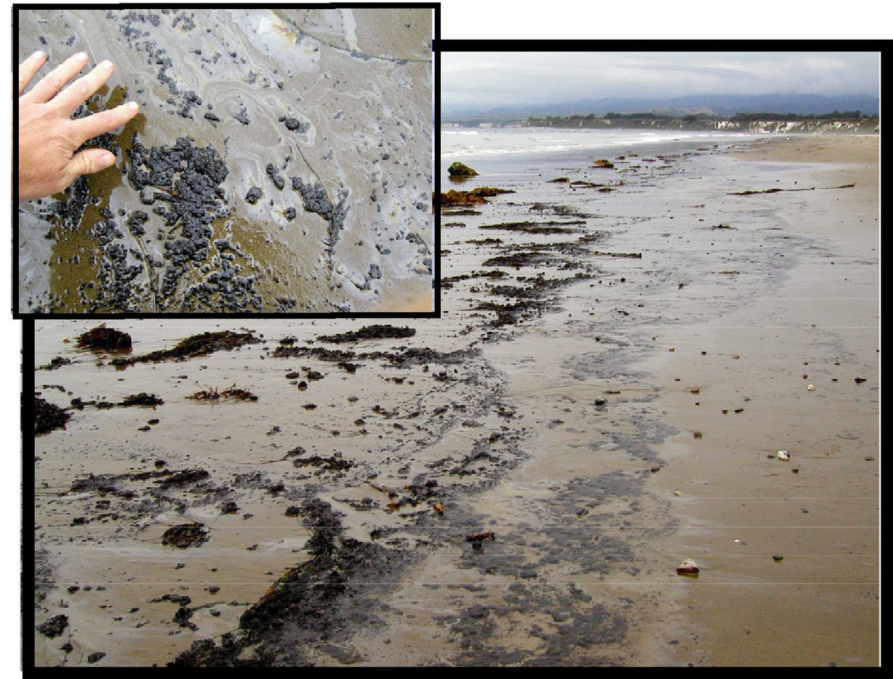 Three photographs of fresh tar residue on the beach at Coal Oil Point: a hand touching iridescent, sheened oil in wet sand, a long dark tar line along the tideline of a beach below bluffs, and a meandering tar streak across wet sand.
